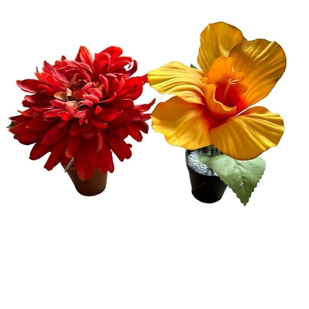 NEW Bundle (2) Ashland Potted Flowers